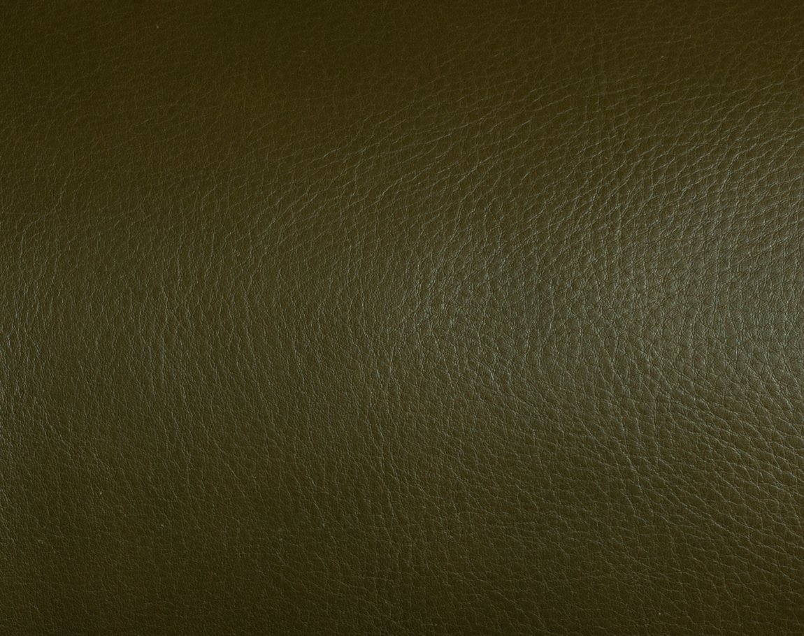 Frank Clegg  Green Canvas Chestnut Leather Garment Bag – Baltzar